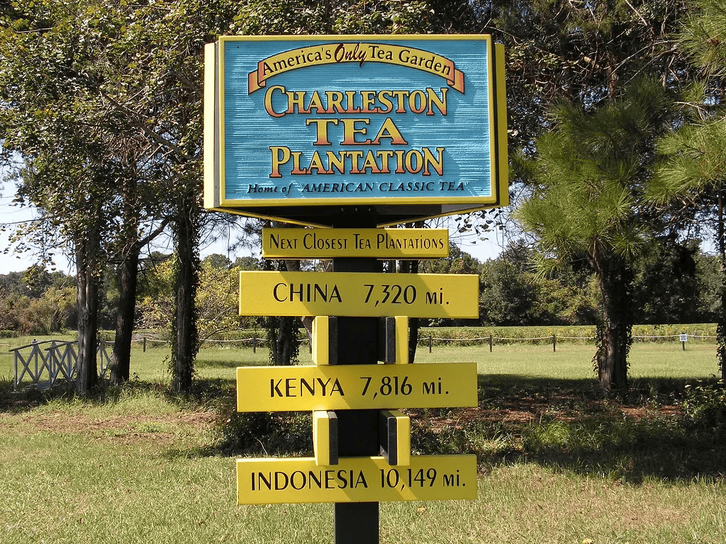 Charleston Tea Plantation Signage