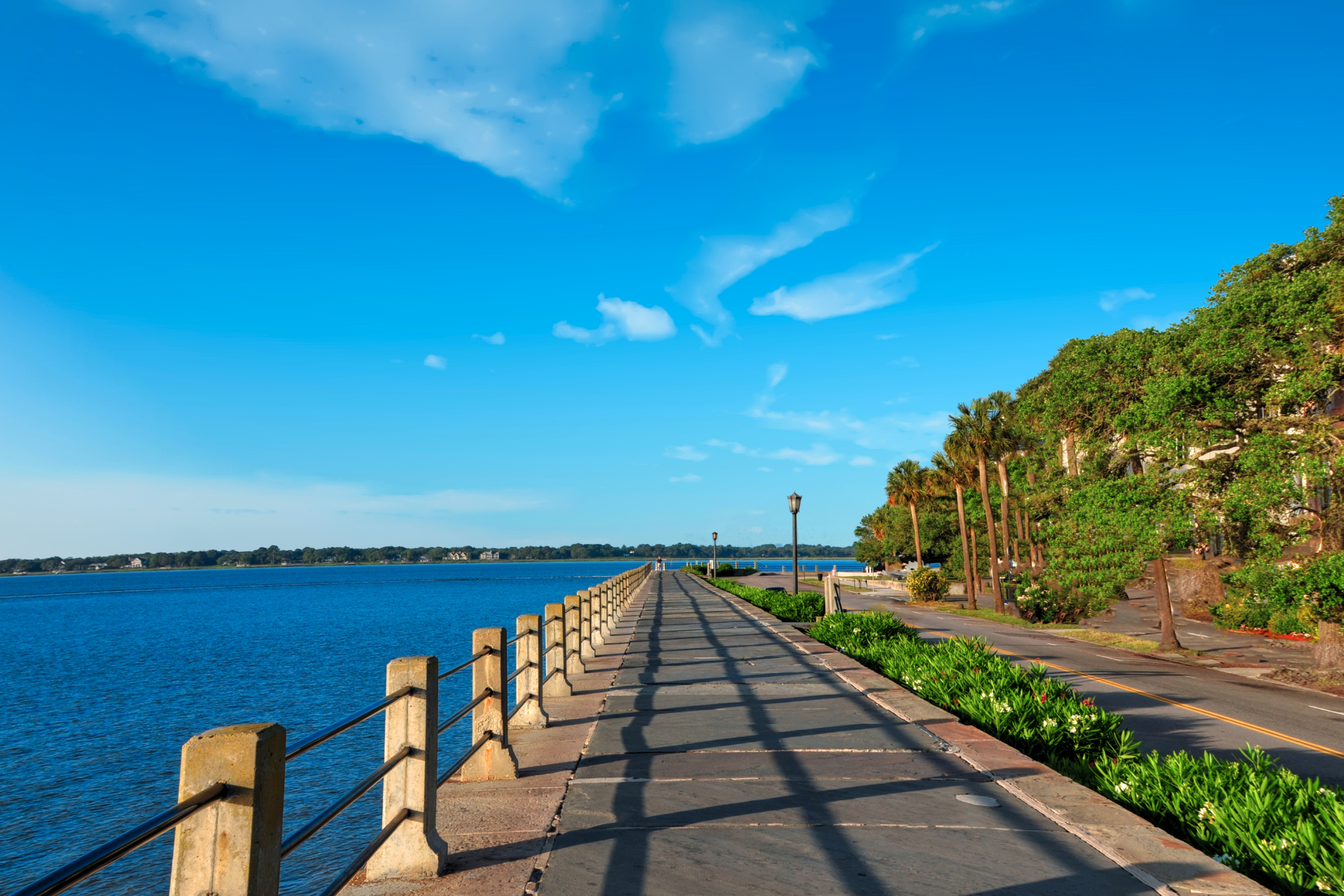 Battery Row waterfront-Charleston, SC