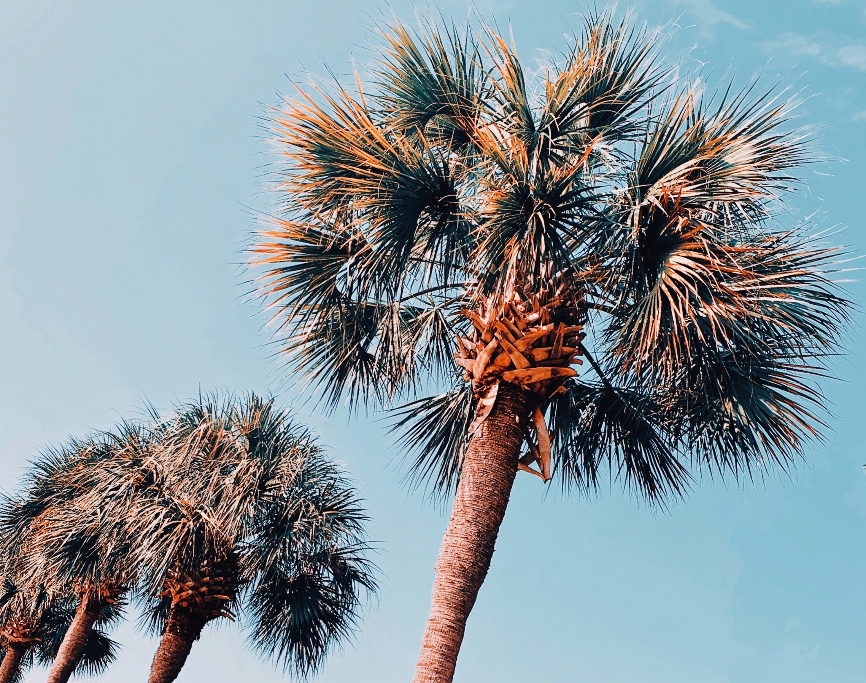 lauren-york-ZnMBXbAGUrM-unsplash