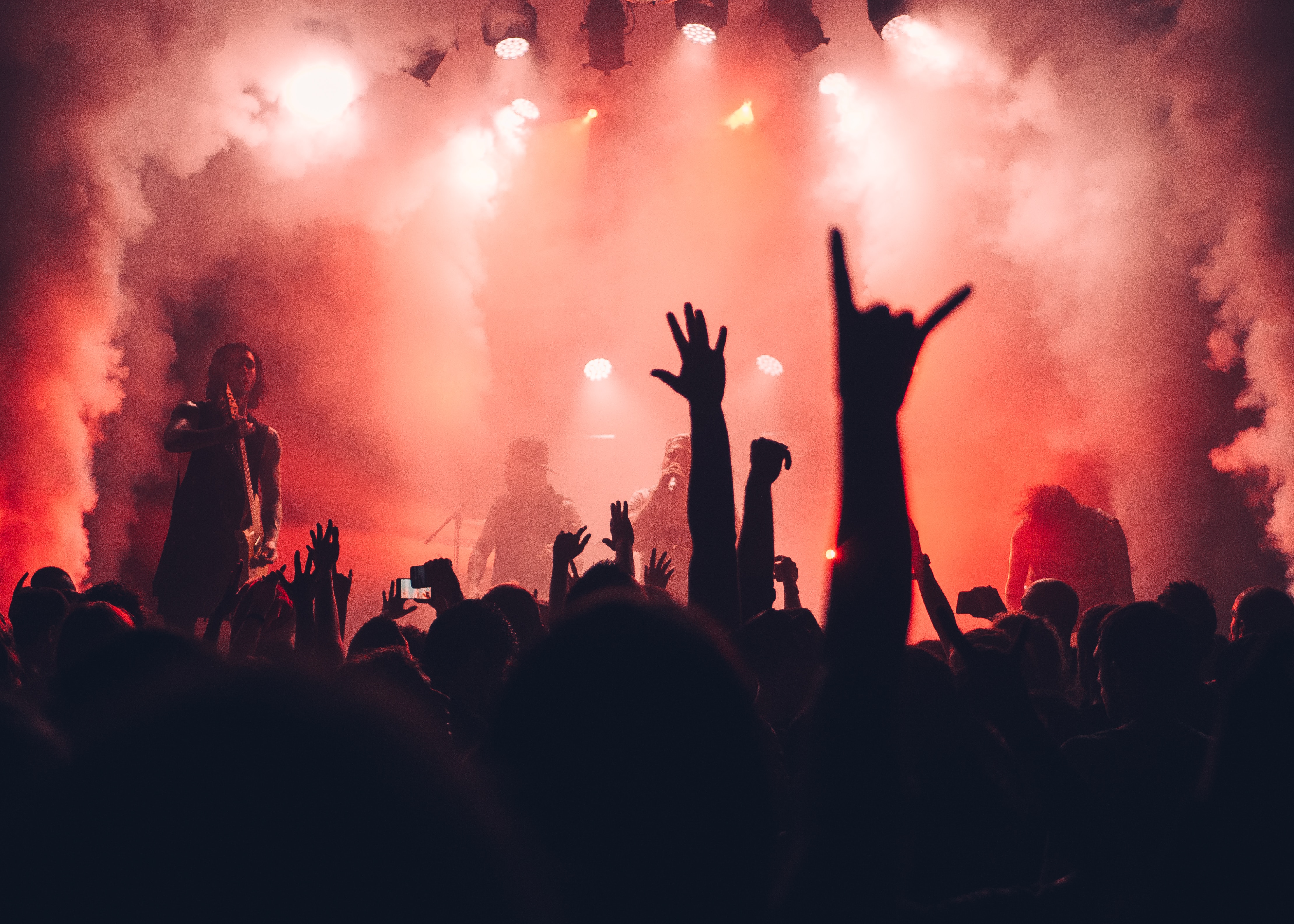 sebastian-ervi-uCZVEo8iT9Q-unsplash